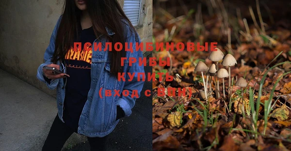 винт Аркадак