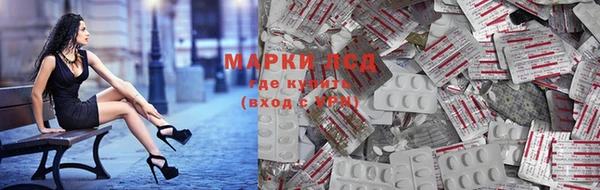 винт Аркадак