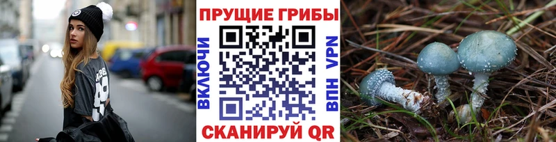 Купить  Спас-Деменск  Псилоцибиновые грибы Magic Shrooms 